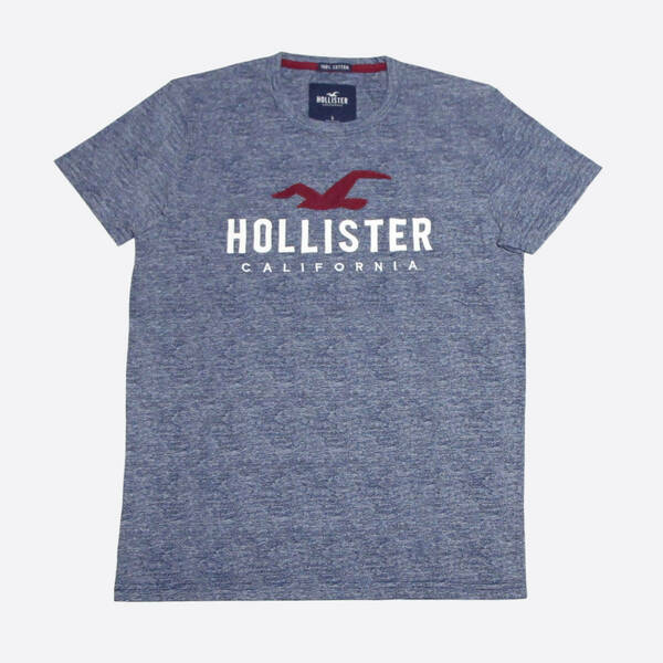 ★SALE★Hollister/ホリスター★アップリケロゴマルチボーダーTシャツ (Heather Navy/S)