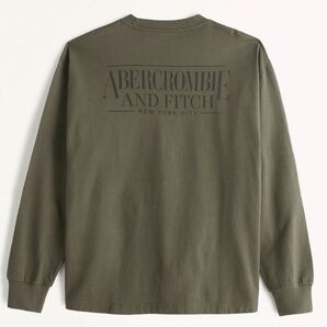 新品 正規品 A&F オーバーサイズ 長袖ヘビーウエイト ロゴグラフィックTシャツO