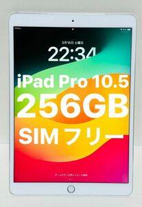 iPad Pro 10.5インチ 256GB Apple アップル