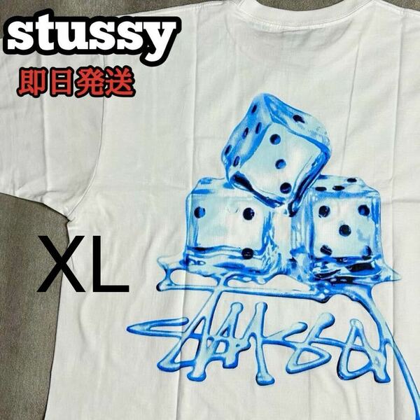 ステューシー stussy MEL TED TEE Tシャツ 半袖 ホワイト 白 ダイス サイコロ XL