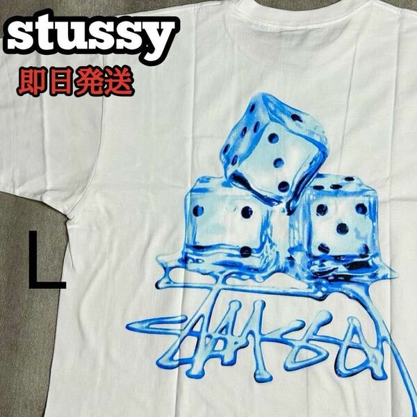 ステューシー stussy MEL TED TEE Tシャツ 半袖 ホワイト 白 ダイス サイコロ L メンズ レディース