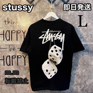 送料無料 stussy ステューシー L STUSSY FUZZY DICE TEE Tシャツ 黒の画像1