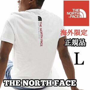 THE NORTH FACE ザ ノースフェイス メンズ 半袖 Tシャツ バッグデザイン 海外限定 正規品 完売品 ホワイト 白 M L コットン クールネック