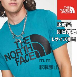 THE NORTH FACE 日本未発売 ザノースフェイス メンズ レディース 半袖 Tシャツ ハーフドーム L ビッグロゴ