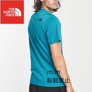 THE NORTH FACE 日本未発売 ザノースフェイス メンズ レディース 半袖 Tシャツ ハーフドーム L ビッグロゴの画像3