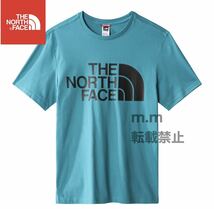 THE NORTH FACE 日本未発売 ザノースフェイス メンズ レディース 半袖 Tシャツ ハーフドーム L ビッグロゴ_画像4