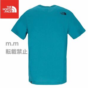 THE NORTH FACE 日本未発売 ザノースフェイス メンズ レディース 半袖 Tシャツ ハーフドーム L ビッグロゴの画像6