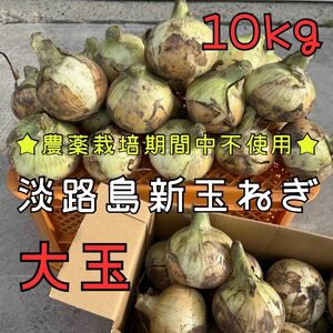 【産地直送】美味しい♪ 農薬栽培期間中不使用 淡路島新玉ねぎ(大玉)10kg