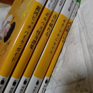 全5冊 斉藤壮馬的河出文庫 限定カバー付/青が破れる、西瓜糖の日々、ボルヘス怪奇譚集、ヰタ・マキニカリス、銀河ヒッチハイク・ガイドの画像3