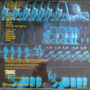 LP JERRY‘S KIDS [KILL KILL KILL] TAANG! RECORDSの画像2
