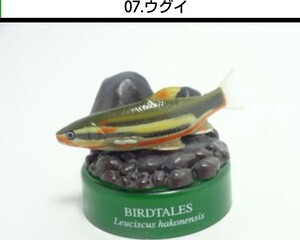 07. ウグイ 石斑魚 BIRDTALES2 森と清流 ボトルキャップ 海洋堂 検)非売品 バードテイルズ フィギュア チョコQ チョコエッグ 松村しのぶ