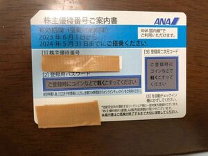 ANA株主優待券　1枚　有効期限2024年5月31日搭乗まで