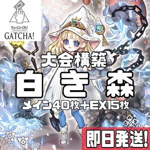 即日発送！大会用　白き森　デッキ　遊戯王　アステーリャ　リゼット　チキンレース