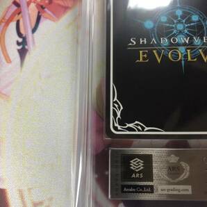 【ARS 10】 トウカイテイオー SP CP01-SP05 Shadowverse EVOLVE シャドウバース エボルヴ 鑑定の画像9