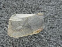 希少隕石　ドファール485　カット標本　　5.20ｇ_画像2