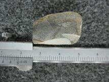 希少隕石　ドファール485　カット標本　　5.20ｇ_画像6
