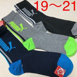 [19~21] Puma socks, socks 3 pair collection 