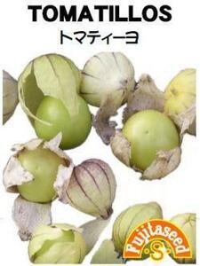 ＜野菜の種＞食用ほおずき　トマティーヨ　３０粒　ほうずき