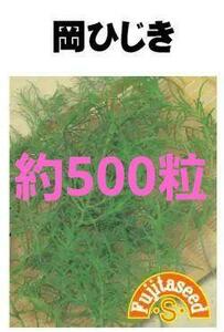 ＜野菜の種＞約５２０粒　オカヒジキ　10ｍｌ　岡ひじき おかひじき