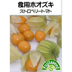 ＜野菜の種＞食用ほおずき ストロベリートマト ３０粒 ほうずきの画像1