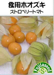 ＜野菜の種＞食用ほおずき　ストロベリートマト　３０粒　ほうずき