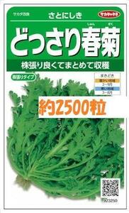 未開封＜野菜の種＞約2500粒　春菊　さとにしき　どっさり　春菊　30ｍｌ　シュンギク　しゅんぎく