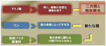 ハイポネックス　ライゾー　（RHYZO）【1kg】有機発根促進剤　バイオスティミュラント資材　※当方は肥料販売登録済です。_画像2