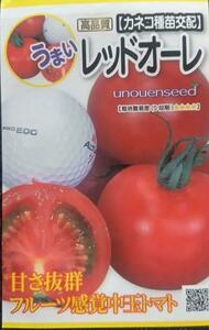 未開封＜野菜の種＞中玉トマト　レッドオーレ　20粒　フルーツトマト