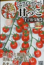 未開封＜野菜の種＞ミニフルーツトマト　甘っこ　２０粒_画像1