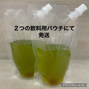 送料無料 良質 タマミジンコ 30,000匹 生き餌 加温メダカ 金魚 らんちゅう 産卵促進 色揚げに 栄養満点 育成スピードUPの画像3