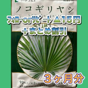 1300★ノコギリヤシ★シードコムス●3カ月