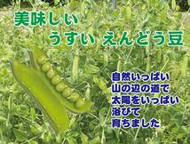 えんどう豆　実えんどう　うすいえんどう豆　1キログラム　地域限定送料無料→東北・関東・信越・北陸・中部・関西・四国・中国・九州_画像1