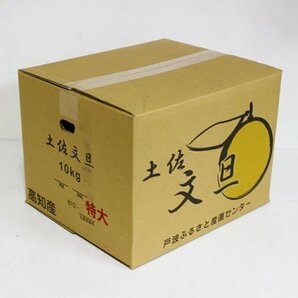 【限定1箱】高知県特産 土佐文旦（ぶんたん）超ジャンボサイズ 5Lサイズ 約10kg 1円スタートの画像3