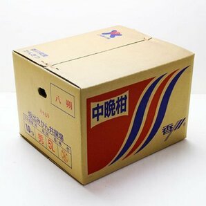 【1箱出品】香川県産 八朔（はっさく）超ジャンボサイズ 5Lサイズ 約10kg 1円スタートの画像3