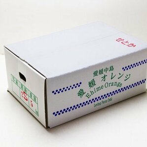 【限定2箱】愛媛県特産 柑橘の大トロ「せとか」2Sサイズ 家庭用 約5kg 1円スタートの画像3