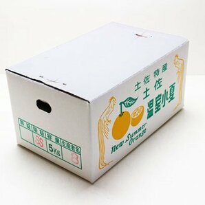 【限定2箱】高知県山北産 「小夏」 2Sサイズ 小玉 約5kg 家庭用 1円スタートの画像3