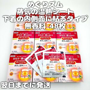 花王 めぐりズム 蒸気の温熱シート 下着の内側面に貼るタイプ 無香料