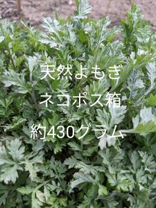 7.岡山県産 天然よもぎ ネコポス箱 約430グラム