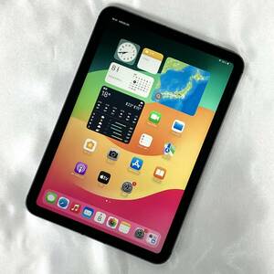 【中古 超美品】SIMフリー iPad mini 第6世代 Wi-Fi+Cellularモデル 256GB スペースグレイ MK8F3J/A バッテリー最大容量96% au版 mini6