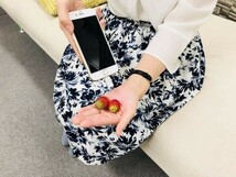 話題沸騰　ピカッシュ　UV除菌ライト iPhone用　　【新品、未使用】(0)_画像3