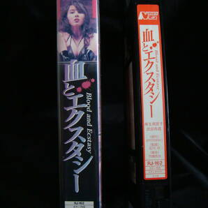 麻生真宮子 （麻生真美子）お宝希少ビデオ 『血とエクスタシー』未DVD化  VHS の画像3