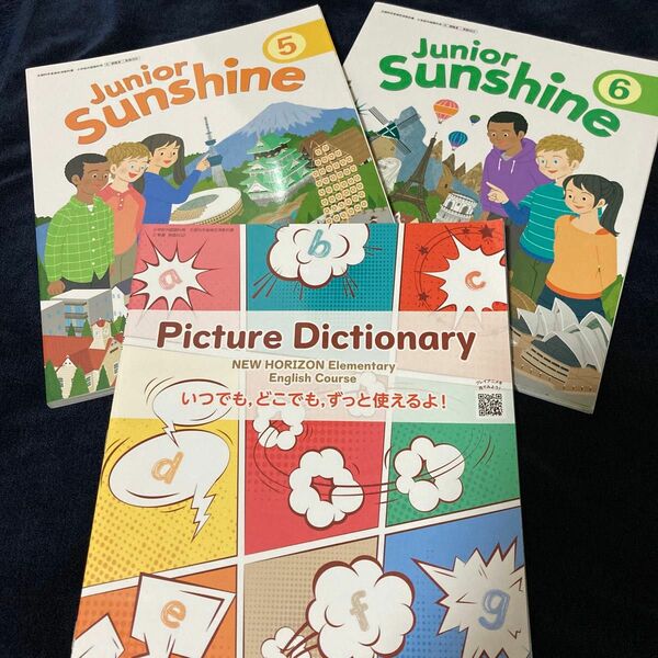 小学生 5年生 6年生 英語教科書 おまけテキスト付き