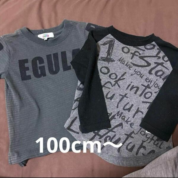 【本日限定セール】Tシャツ 100cm 2枚セット