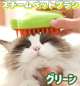 キャット スチームブラシ　グリーン USB充電 マッサージ 犬用　猫用