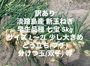 訳あり 淡路島産 新玉ねぎ 早生品種 七宝 5kg サイズL～2L ブチ、双子 淡路 淡路島