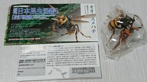 オオスズメバチ 原色日本昆虫図鑑 Ⅰ 改訂増補版 ユージン Yujin 未組立 未開封 解説書付き_画像1