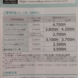 10枚セット スポーツご優待共通券 スキー場(ウインターシーズン)ゴルフ場 東急スポーツオアシス 東急不動産 株主優待券 2024年8月31日まで の画像3