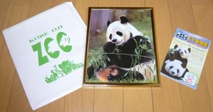 追悼　☆タンタン？コウコウ？☆パンダのポスター◆額入り◆王子動物園で購入【未使用】パンフレット、紙袋付き☆来日当初の旦旦＆興興