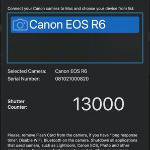 美品Canon EOS R6 レンズキット（RF24-105mm F4-7.1 IS STM KIT) 付属品多数 即撮影可能の画像10