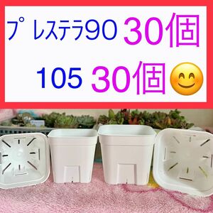 F①⑧ プレステラお得ｾｯﾄ★ 【90ｻｲｽﾞ30個】【105ｻｲｽﾞ30個】